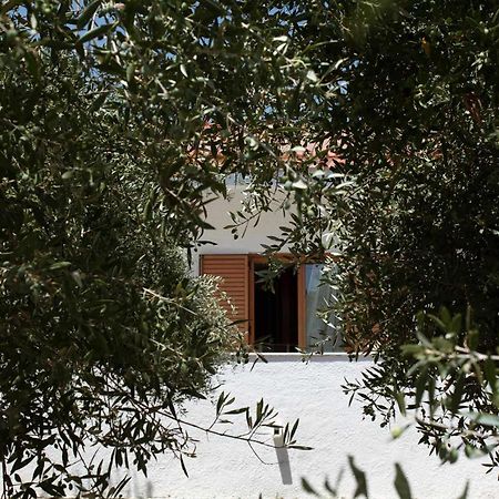 Villa Aelia Kampos  Bagian luar foto